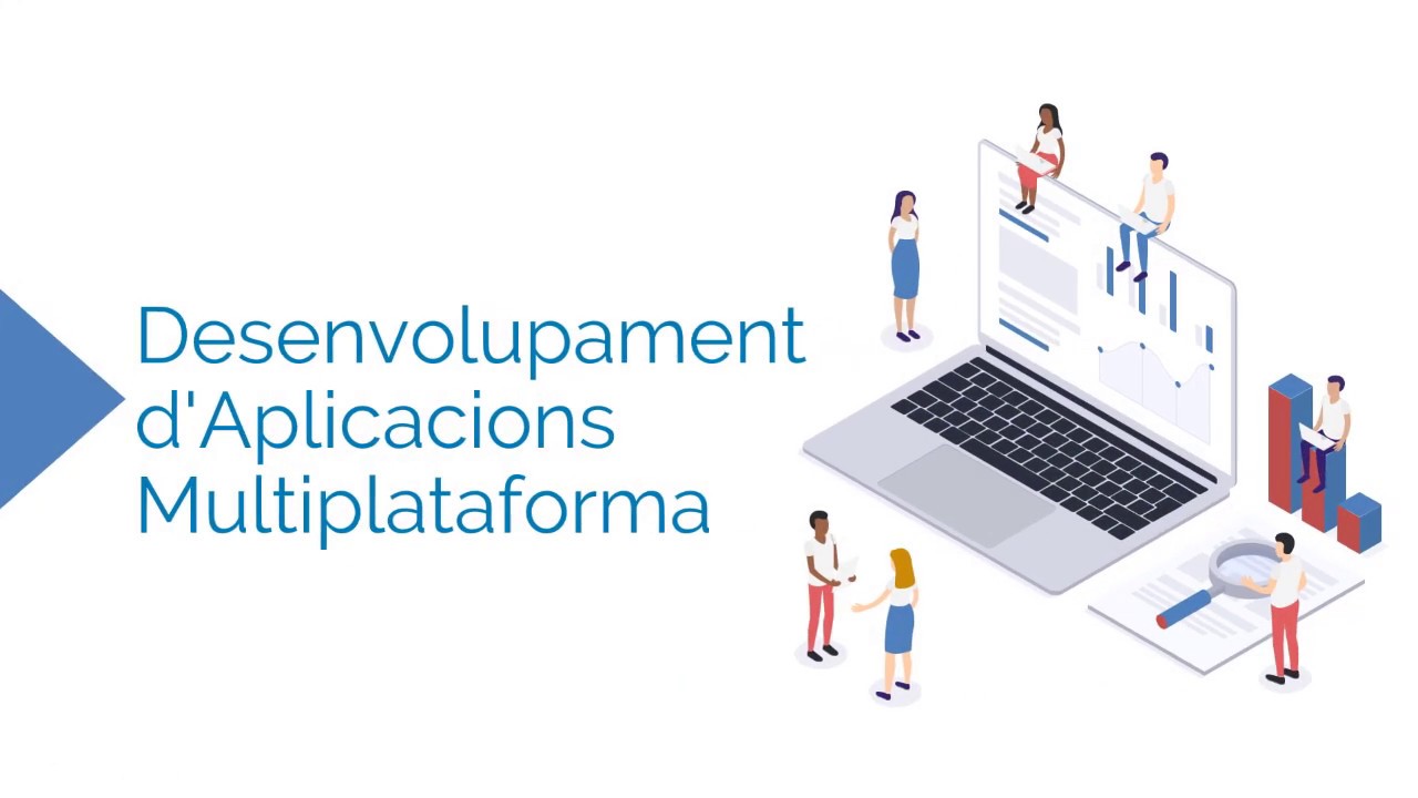 Cicle de Desenvolupament